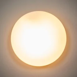 ORION Loftlamper|Loftlamper > Alba loftlampe af opalt glas, Ø 25 cm
