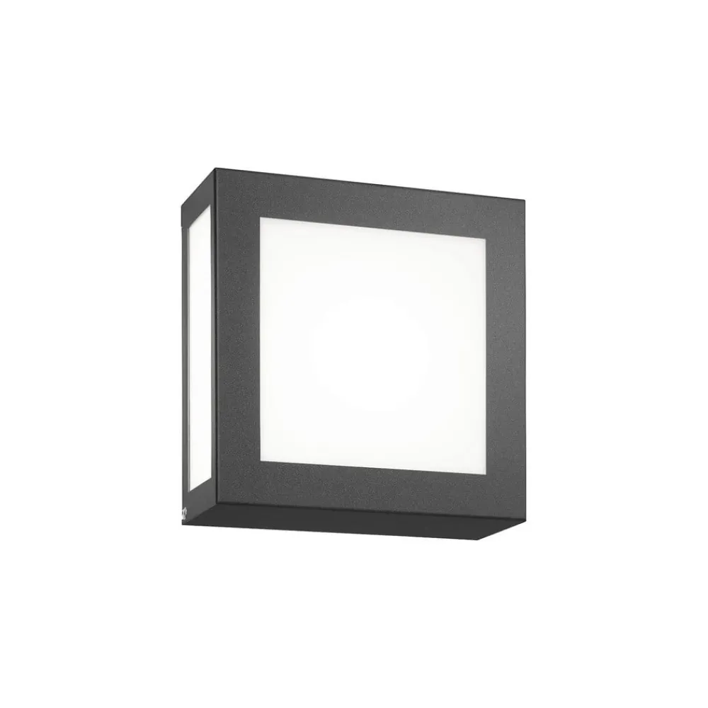CMD Væglampe Med Sensor > Aqua Legendo Mini ud. væglampe, sensor antracit