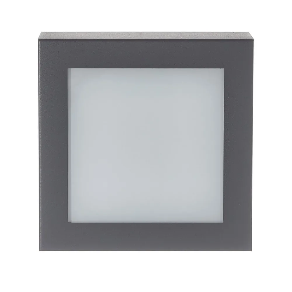 CMD Væglampe Med Sensor > Aqua Legendo Mini ud. væglampe, sensor antracit