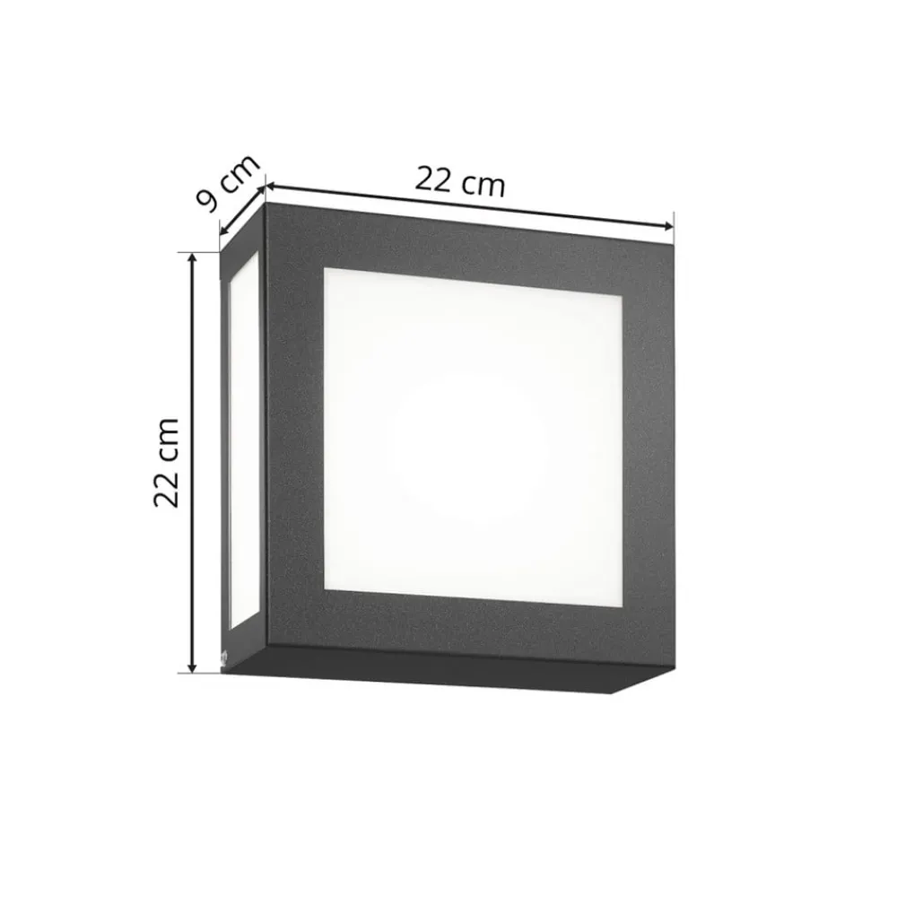 CMD Væglampe Med Sensor > Aqua Legendo Mini ud. væglampe, sensor antracit