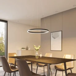 Arcchio Pendellamper|Pendellamper > LED-hængelampe Albiona, sort, 1 ring, Ø 60 cm