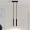Arcchio Pendellamper > LED-pendellampe Franka, 2 lyskilder, sort, aluminium