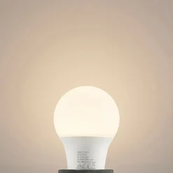 Arcchio Led Pærer > LED-pære E27 A60 4,9W opal 3.000K 480 lm
