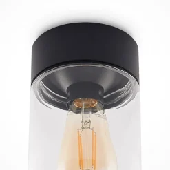 Arcchio Udendørs Loftlamper > Liljana udendørs loftslampe, IP65, sort