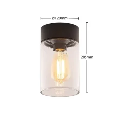 Arcchio Udendørs Loftlamper > Liljana udendørs loftslampe, IP65, sort