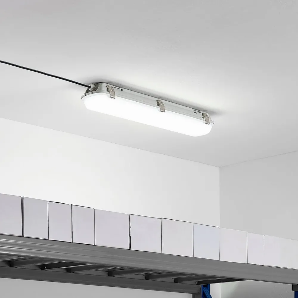 Arcchio Loftlamper > Rao LED-vådrumslampe, 61,8 cm