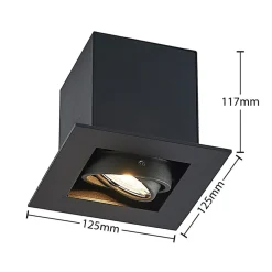 Arcchio Loftlamper|Indbygningsspots > Taneja indbygningslampe, 1 lyskilde, sort