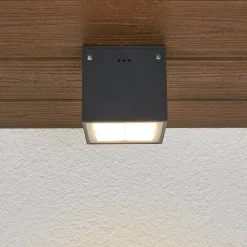 BEGA Udendørs Loftlamper > 66157K3 udendørs loftlampe, grafit 3.000K 38°