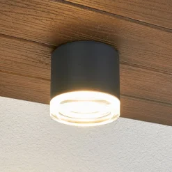 Udendørs Loftlamper ^ BEGA 66056K3 udendørs loftlampe, grafit 3.000K 62°