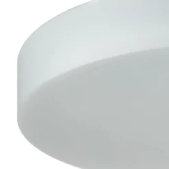 BEGA Loftlamper > 23297 LED-loftlampe, glas DALI 3000 K Ø 47 cm