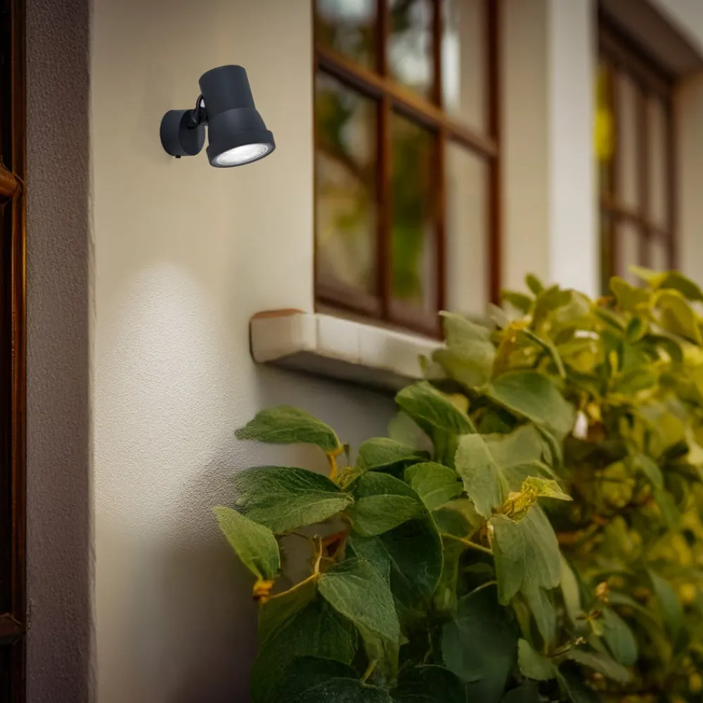 BEGA Udendørs Spot > LED-spotlight 84951 K3, on/off, grafit, støbt aluminium