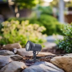 BEGA Udendørs Spot > udendørs spotlampe 85009, grafit, støbt aluminium, stik