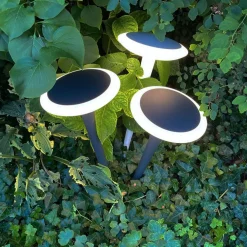 Deko-Light Sokkellamper|Udendørs Spot > Bermuda LED-sokkellampe med jordspyd, sortgrå
