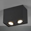 Spotlights ^ Trio Lighting Biscuit loftlampe, 2 lyskilder, sort
