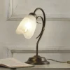 Bordlamper ^ ONLI Bordlampe Odino, 1 lyskilde, bronzefarvet, metal, glas