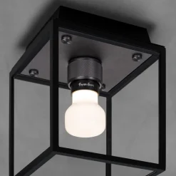 Buster + Punch Loftlamper > Caged Wet Small IP44 rødgods