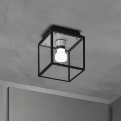 Buster + Punch Loftlamper > Caged Wet Small IP44 stål