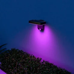 Calex Solcelle Lampe Med Sensor|Væglampe Med Sensor > Smart Outdoor solcellelampe til vægmontering, sensor, RGBW