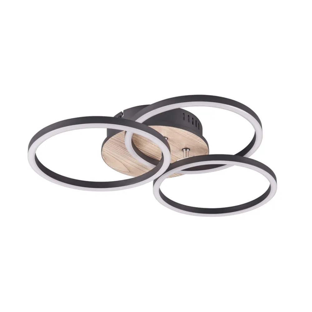 Reality Leuchten Loftlamper|Loftlamper > Circle LED-loftlampe 3 lysk fjernbetjening træ