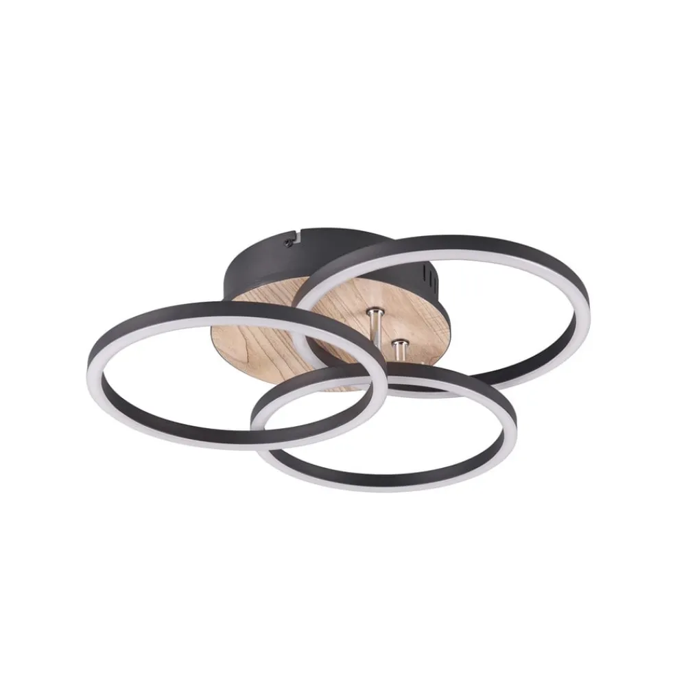 Reality Leuchten Loftlamper|Loftlamper > Circle LED-loftlampe 3 lysk fjernbetjening træ