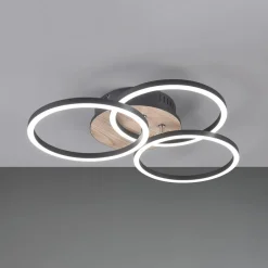 Reality Leuchten Loftlamper|Loftlamper > Circle LED-loftlampe 3 lysk fjernbetjening træ