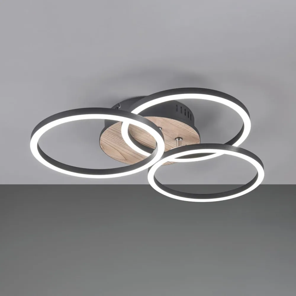 Reality Leuchten Loftlamper|Loftlamper > Circle LED-loftlampe 3 lysk fjernbetjening træ