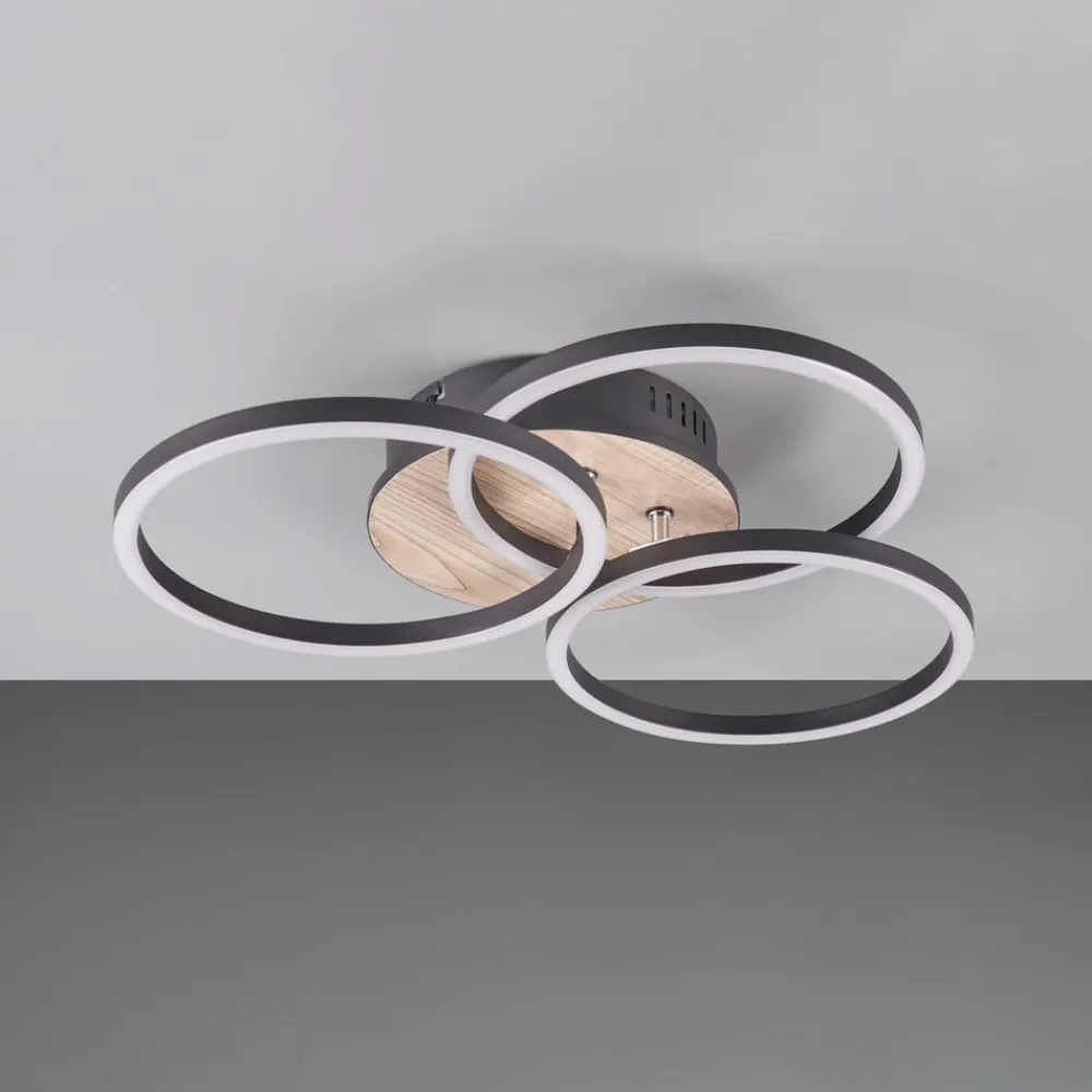 Reality Leuchten Loftlamper|Loftlamper > Circle LED-loftlampe 3 lysk fjernbetjening træ
