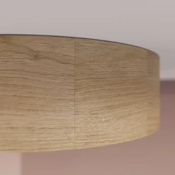 TEMAR LIGHTING Loftlamper|Loftlamper > Cleo loftlampe, Ø 28 cm, 2 lyskilder, egetræ, E27