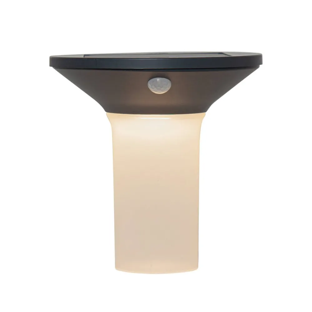 EGLO Solcelle Lampe Med Sensor|Væglampe Med Sensor > Corbezzola udendørs LED-væglampe, sort, sensor