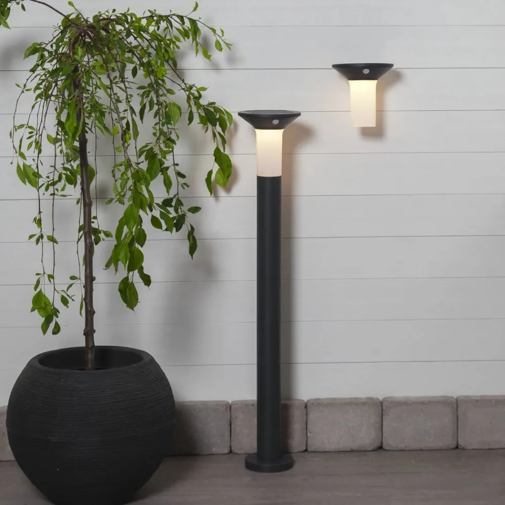 EGLO Solcelle Lampe Med Sensor|Væglampe Med Sensor > Corbezzola udendørs LED-væglampe, sort, sensor
