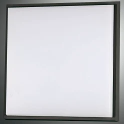 Fabas Luce Loftlamper > Desdy LED-loftlampe, 30 x 30 cm, IP54, sort