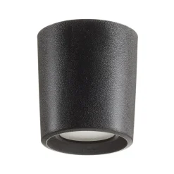 Fumagalli Udendørs Loftlamper > Downlight Livia 9,6 cm sort/frostet kunstharpiks GU10 CCT