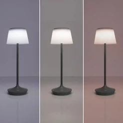 Solcellelamper ^ Näve Emmi LED-bordlampe, solcelle, CCT, opladelig, grå