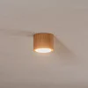 Envostar Loftlamper > Ernest Downlight GX53 i træ, rund
