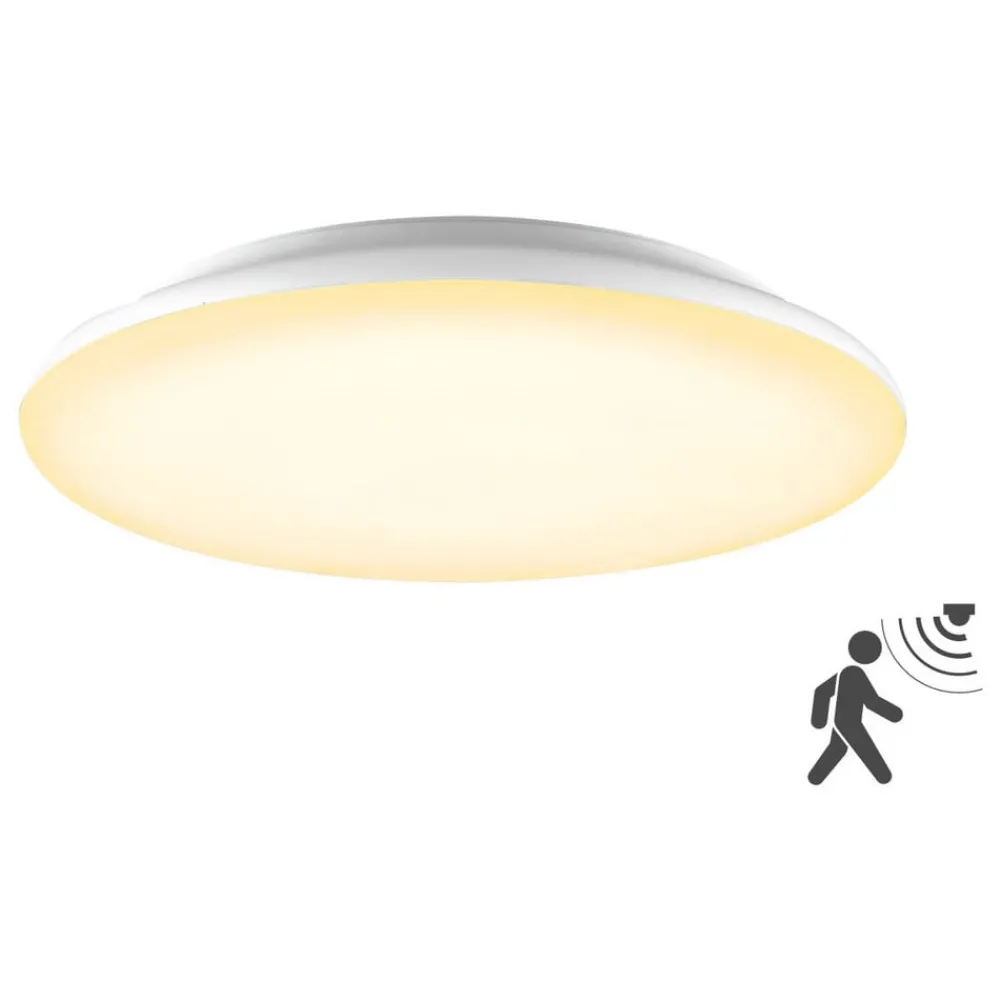 EVN Loftlamper > Catino LED-loftslampe, sensor, 40 cm