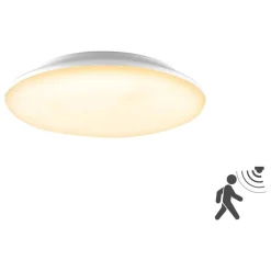 EVN Loftlamper > Catino LED-loftslampe, sensor, 30 cm