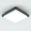 Udendørs Loftlamper ^ EVN LED udendørs loftlampe Tectum, 23x23 cm, antracit, 150°