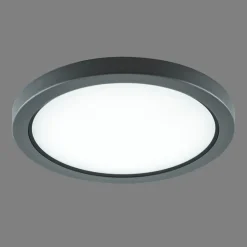 Udendørs Loftlamper ^ EVN Tectum LED udendørs loftlampe, rund med glas