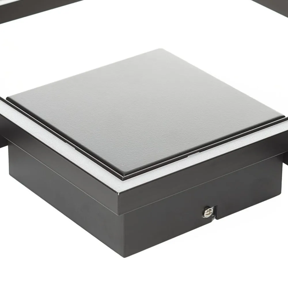 Freelight Loftlamper > Falcon LED-loftlampe, sort