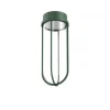 Flos Architectural Udendørs Loftlamper > FLOS In Vitro Ceiling loftlampe, 2.700 K mørkegrøn