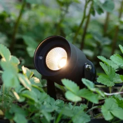 Markslöjd Udendørs Spot > Garden 24 LED-spot, sort, 6 watt