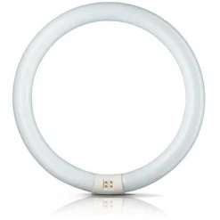 Philips Lysstofrør > G10q 32W 840 ring-lysstofrør Master Circular TL-E