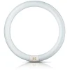 Philips Lysstofrør > G10q 22W 840 ring-lysstofrør Master Circular TL-E
