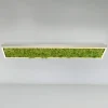 Gang|Loftlamper ^ JUST LIGHT. GmbH Green Knut LED-loftlampe med ægte mos