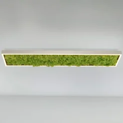 Gang|Loftlamper ^ JUST LIGHT. GmbH Green Knut LED-loftlampe med ægte mos