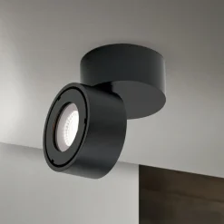 Udendørs Loftlamper ^ ORION Harvey udendørs spotlampe, sort, Ø 10 cm, trykstøbt aluminium