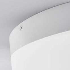 Loftlamper ^ Helestra Liv LED-loftlampe Ø 20 cm