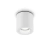 Helestra Udendørs Loftlamper > Lot udendørs loftlampe, IP65, hvid