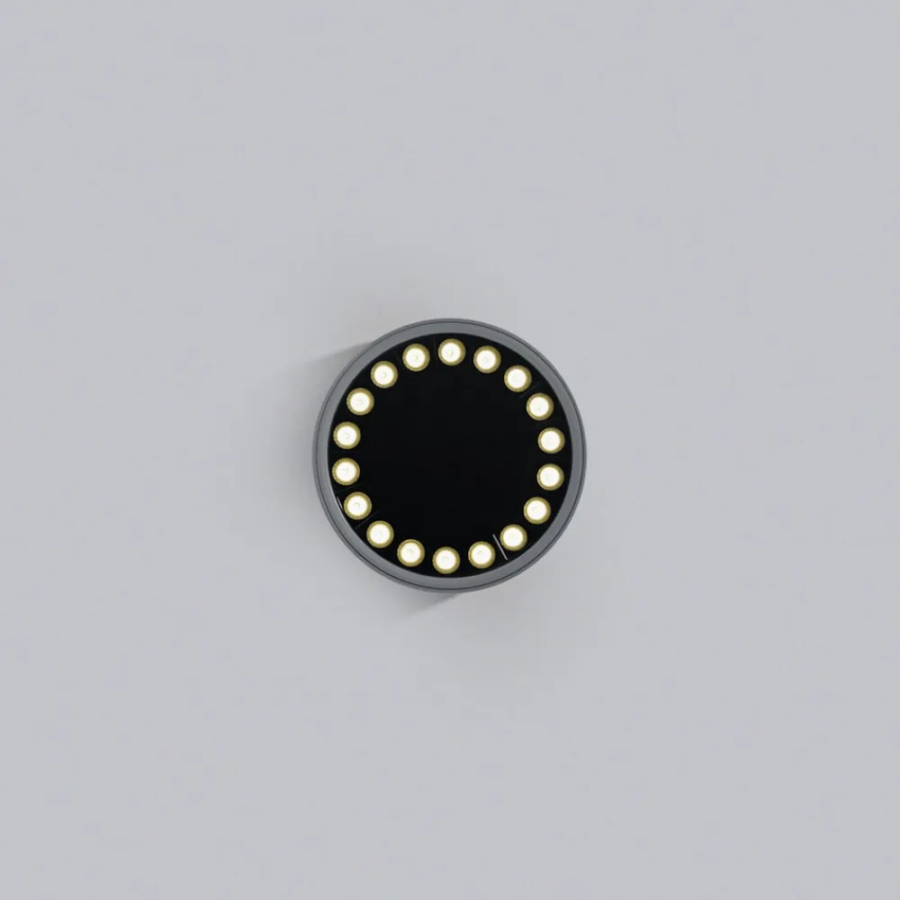Helestra Udendørs Loftlamper > Say LED udendørs loftlampe grafit Ø18,5cm