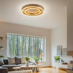 Loftlamper|Loftlamper ^ Helestra Sona LED-loftlampe dæmpbar Ø60 cm guld